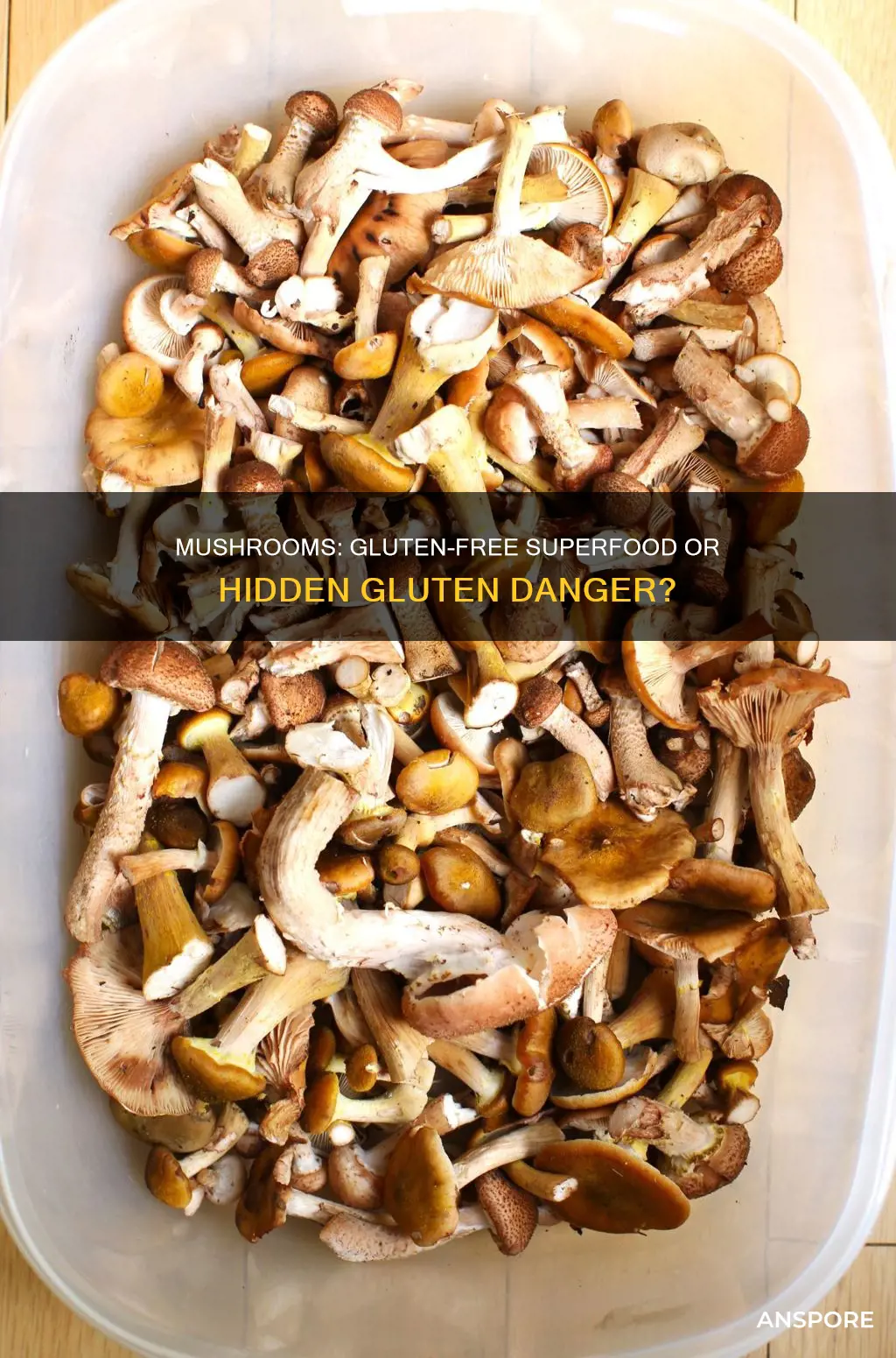 are all mushrooms gluten free