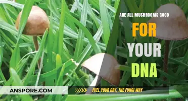 Mushrooms and DNA: Unveiling the Truth About Their Genetic Impact