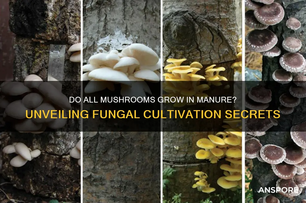 are all mushrooms grown in manure