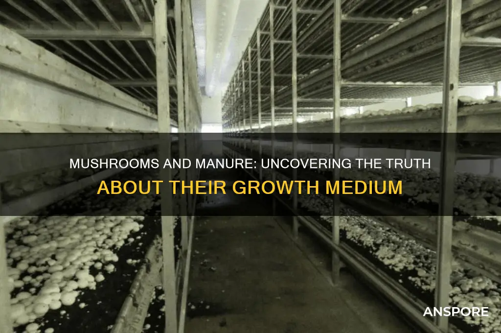 are all mushrooms grown in poop