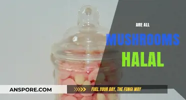 Mushrooms: Halal or Not?