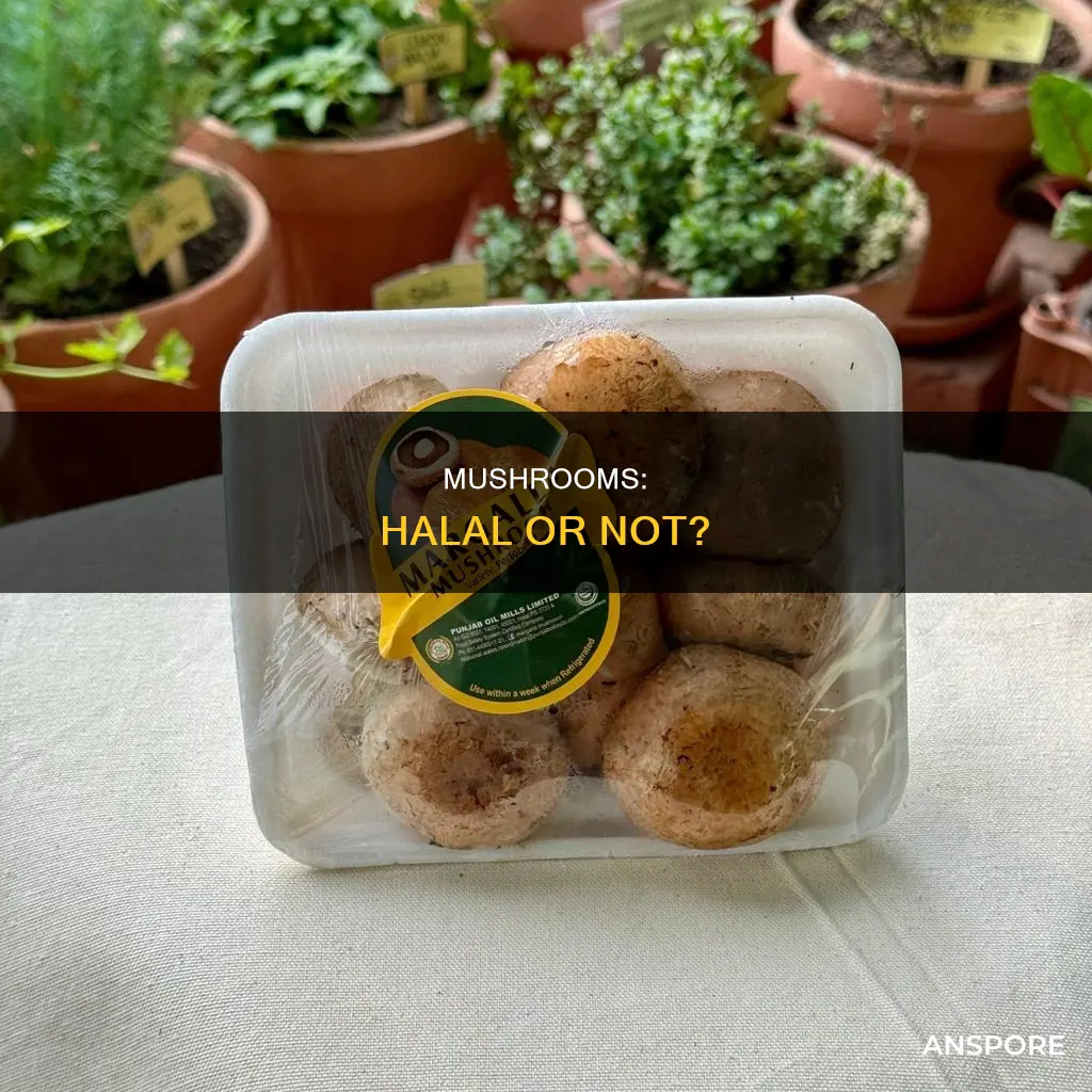are all mushrooms halal