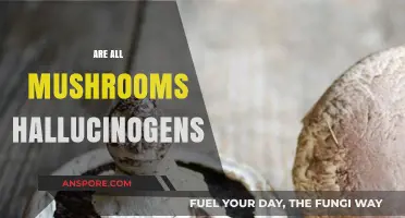 Mushrooms: Hallucinogens or Not?