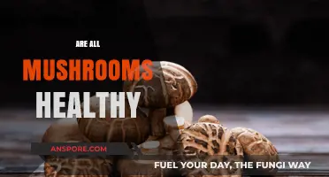 Mushrooms: Healthy Superfood or Poisonous Fungi?