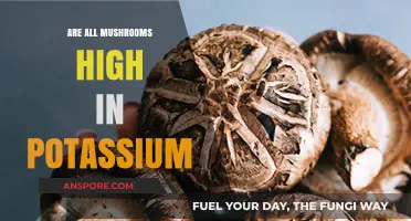Mushrooms and Potassium: Unveiling the Truth About Their Nutrient Content