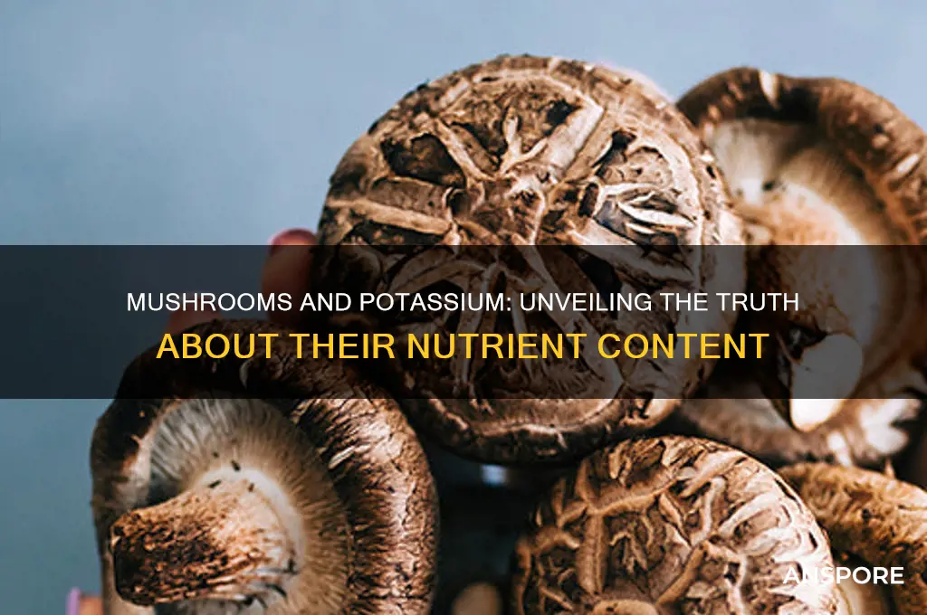 are all mushrooms high in potassium