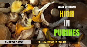 Are All Mushrooms High in Purines? Unveiling the Truth