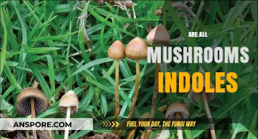 Mushrooms: Indole Powerhouses or Something More?