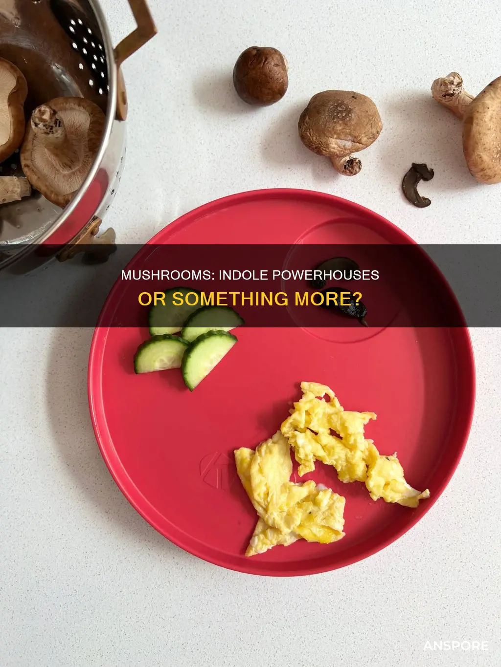 are all mushrooms indoles