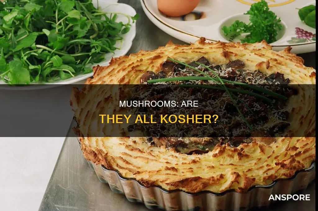 are all mushrooms kosher