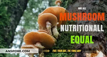 Mushroom Nutrition: Are All Varieties Equal?