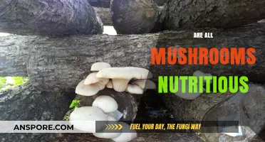 Mushrooms: Nutritional Powerhouses or Not?