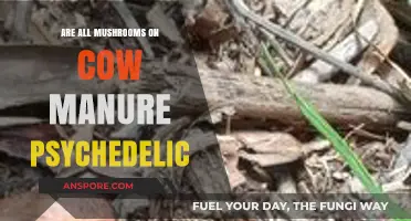 Cow Manure Mushrooms: Are They Psychedelic or Just Ordinary Fungi?