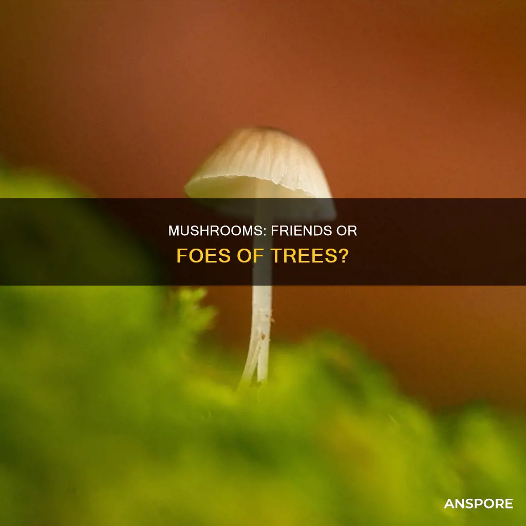 are all mushrooms parasites