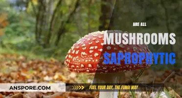 Mushrooms: Saprophytes or Not?