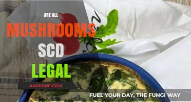 Are All Mushrooms SCD Legal? Exploring Fungal Options on the Diet