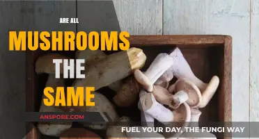 Mushrooms: Diverse or Similar?