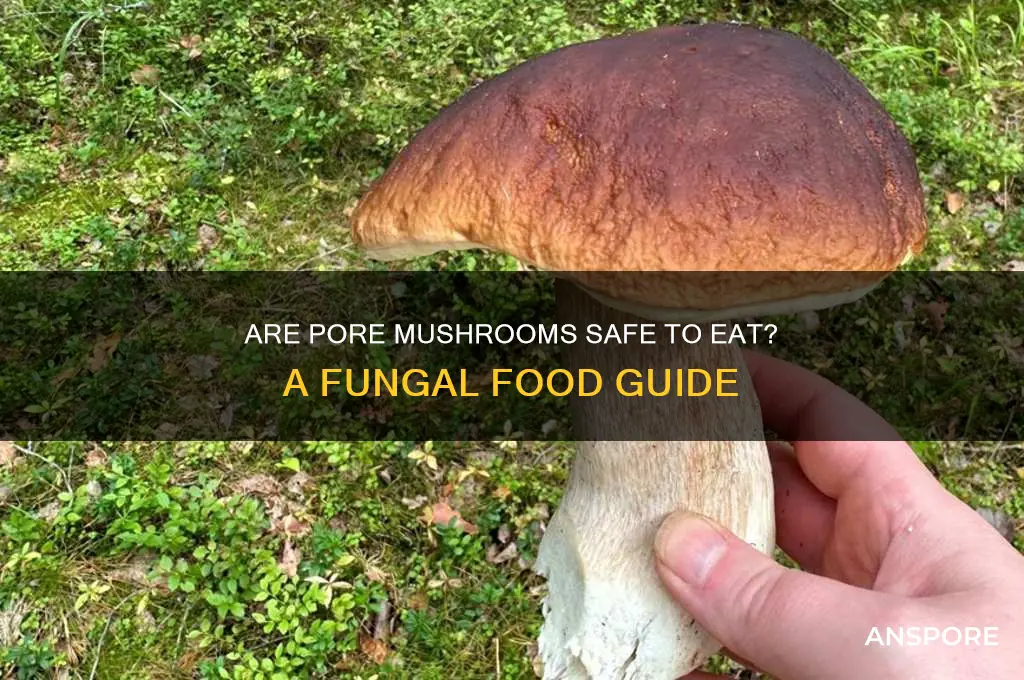 are all mushrooms with pores edible