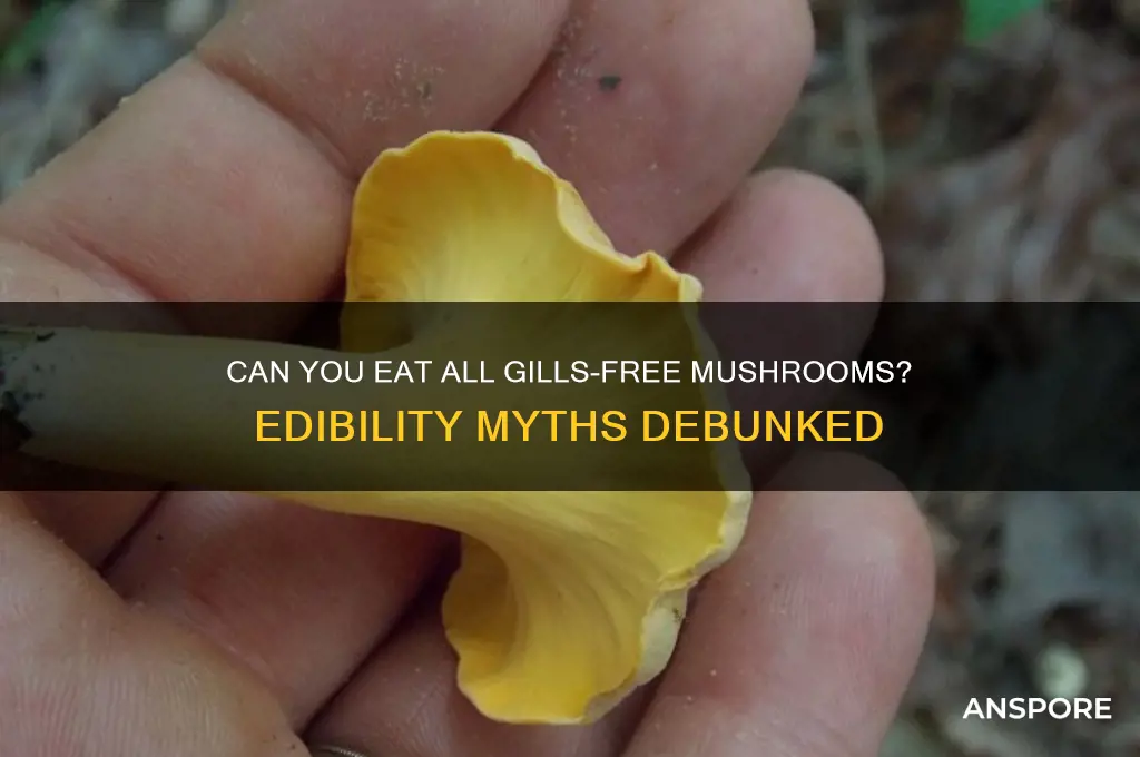 are all mushrooms without gills edible