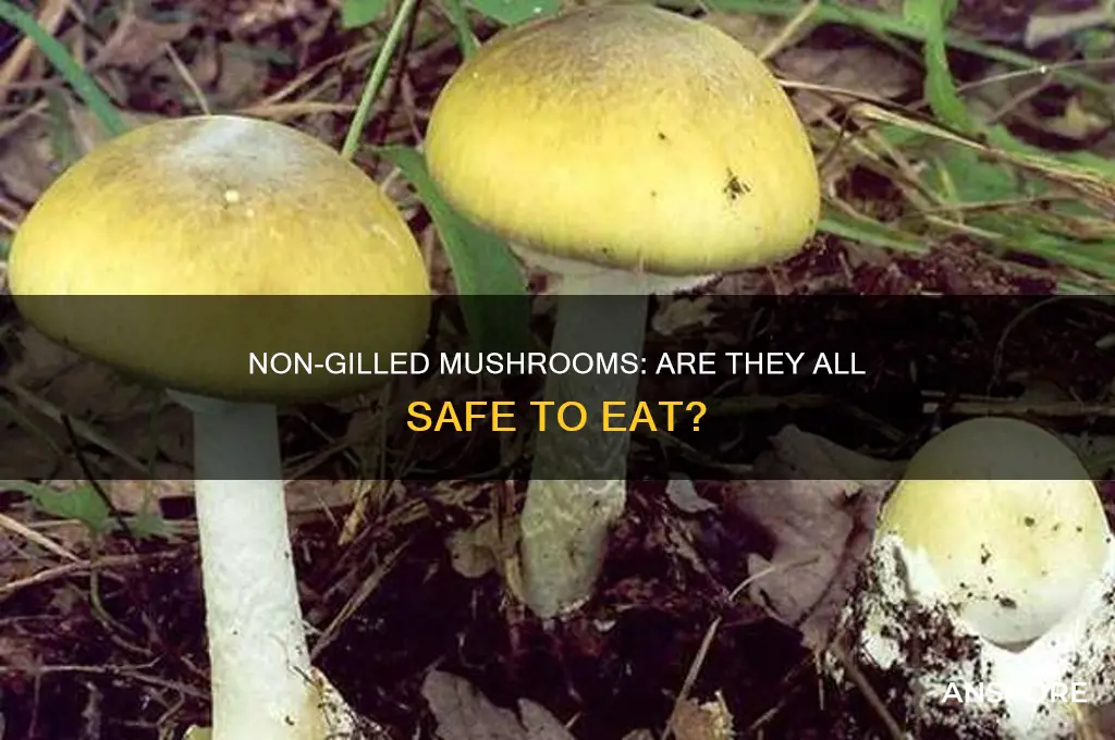 are all non gilled mushrooms safe to eat
