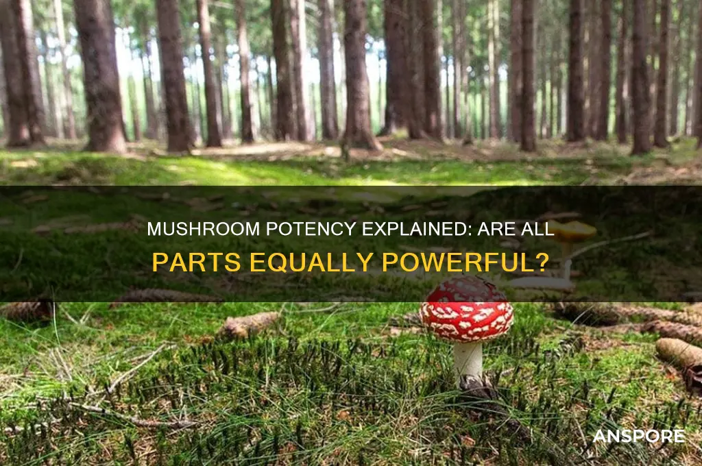 are all parts of mushroom equally potent