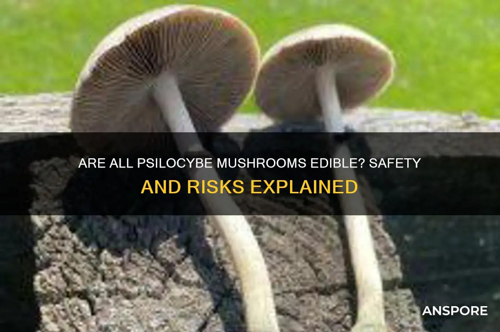 are all psilocybe mushrooms edible