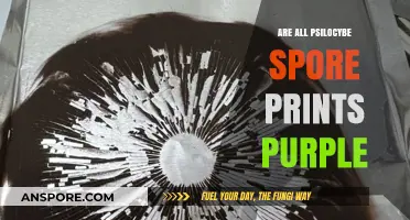 Are All Psilocybe Spore Prints Purple? Unveiling the Truth