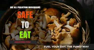Are All Psilocybin Mushrooms Safe to Eat? A Cautionary Guide