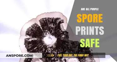 Are All Purple Spore Prints Safe? A Mycologist's Insight