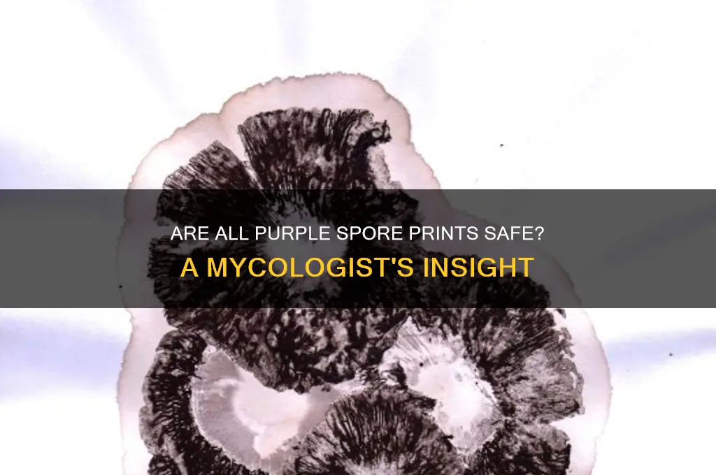 are all purple spore prints safe