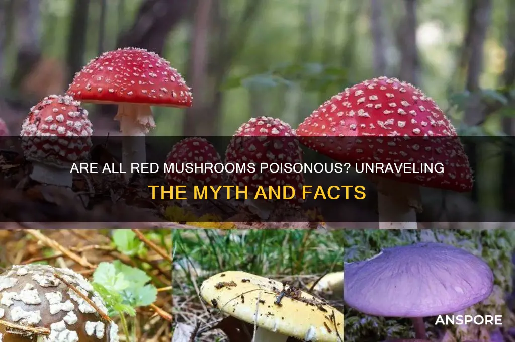 are all read mushrooms poisonous