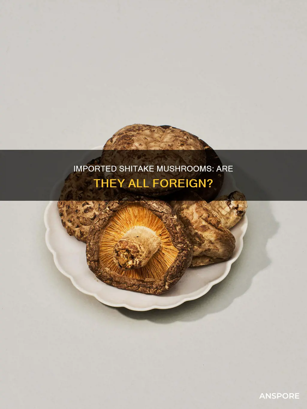 are all shitake mushrooms imported