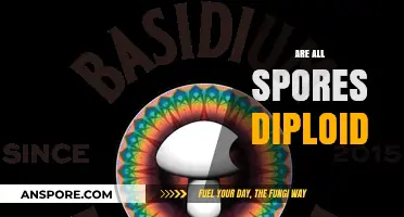 Are All Spores Diploid? Unraveling the Genetic Makeup of Spores