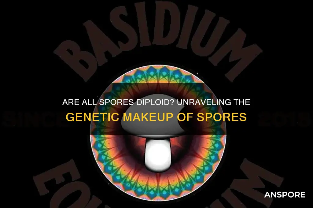 are all spores diploid