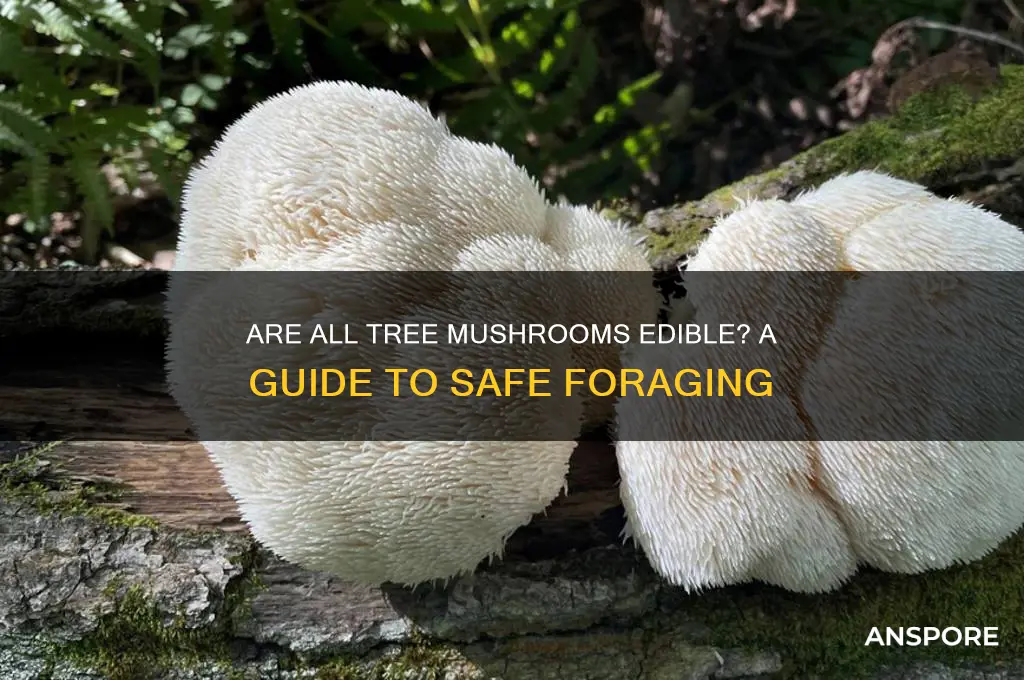 are all tree mushrooms safe to eat