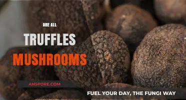 Truffles and Mushrooms: What's the Difference?