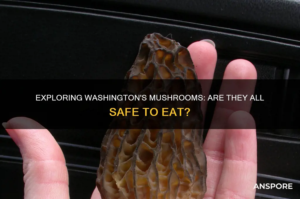 are all washington mushrooms edible