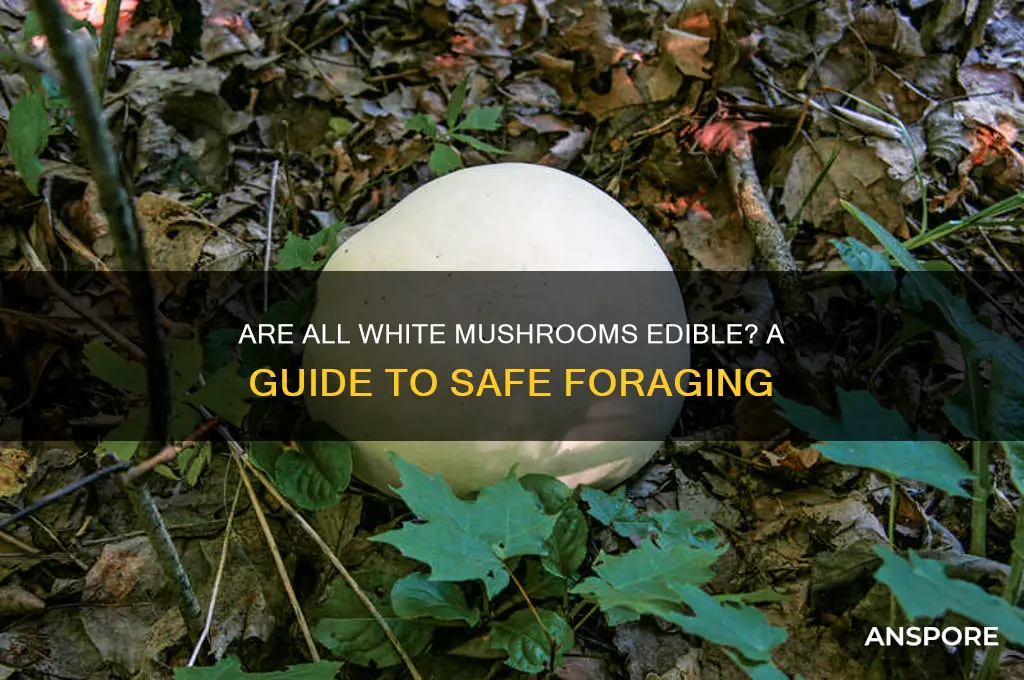 are all white mushrooms edible