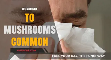 Mushroom Allergies: Are They Common?