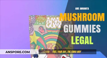 Are Amanita Mushroom Gummies Legal? Exploring the Legal Landscape