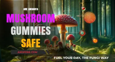Amanita Mushroom Gummies: Safe or Not?