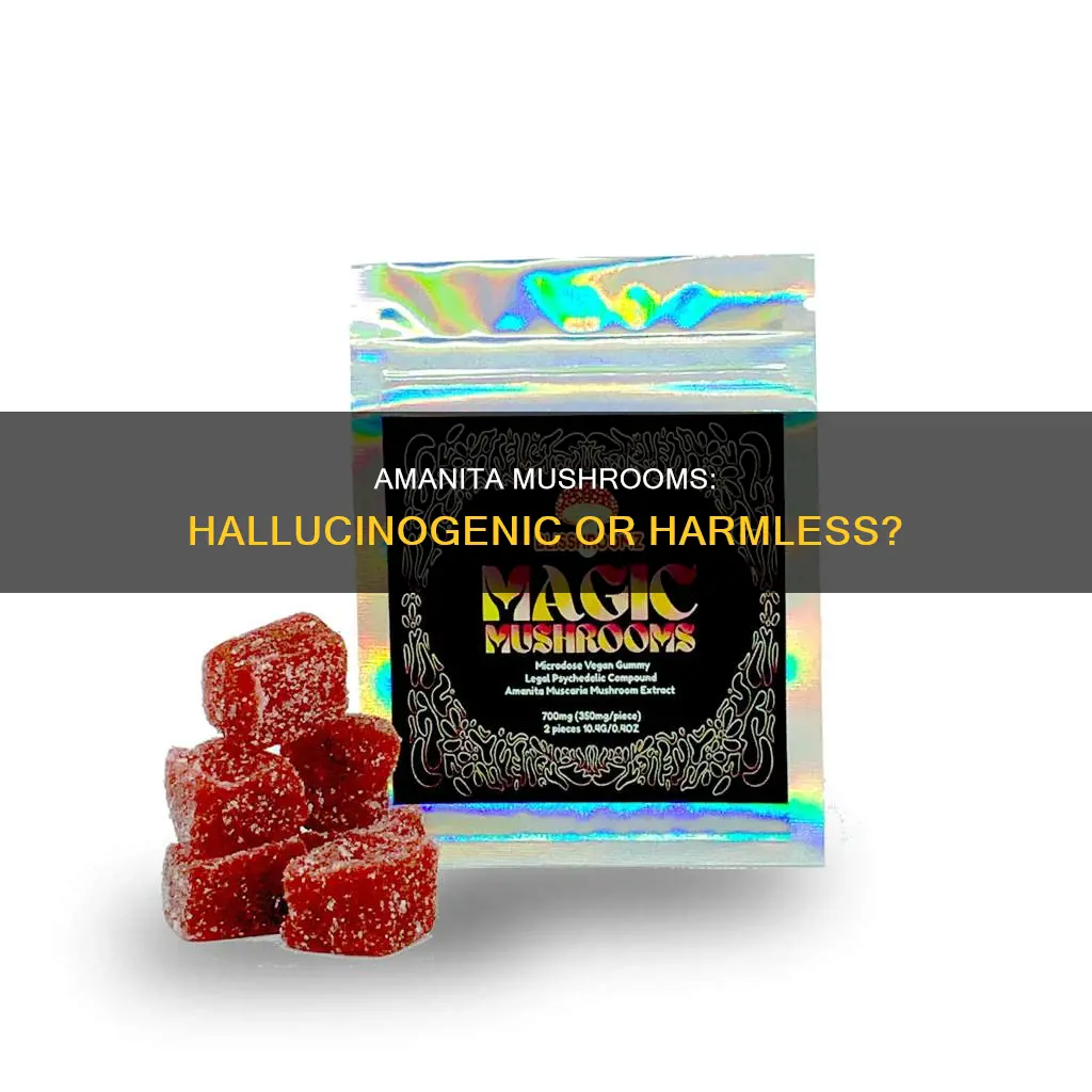 are amanita mushrooms hallucinogenic