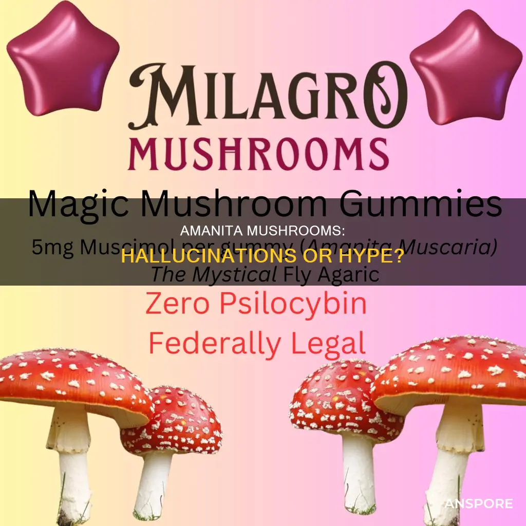 are amanita mushrooms psychoactive