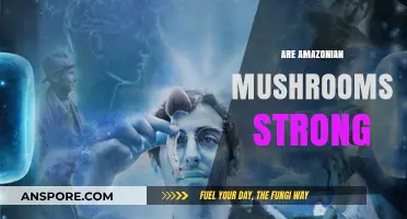 Amazonian Mushrooms: Nature's Potent Psychedelic