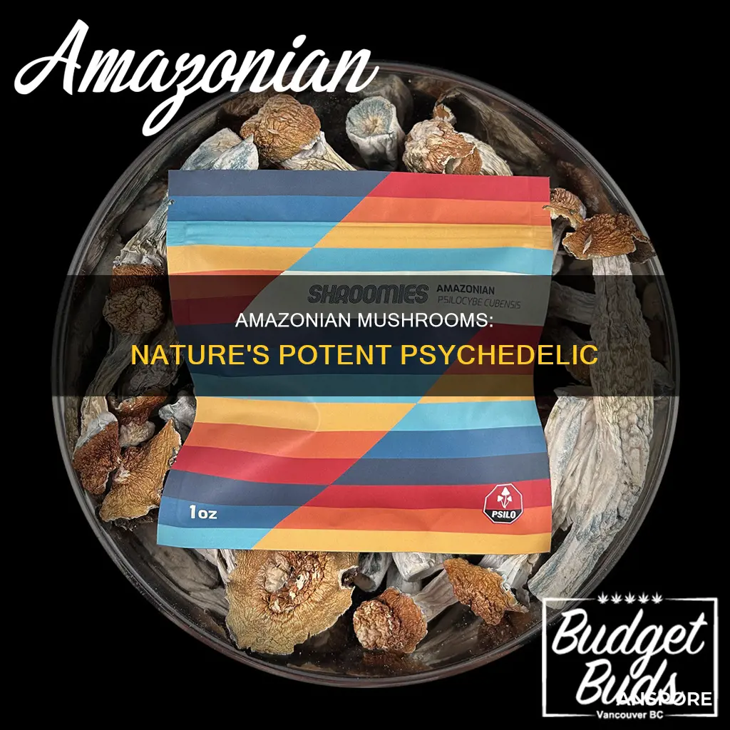 are amazonian mushrooms strong