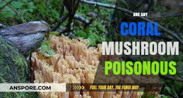 Are Coral Mushrooms Safe? Identifying Poisonous Varieties and Edible Ones