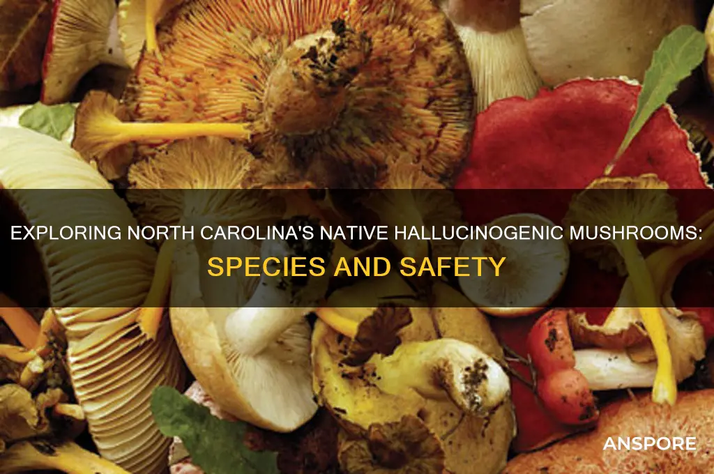 are any hallucinogenic mushrooms native to north carolina