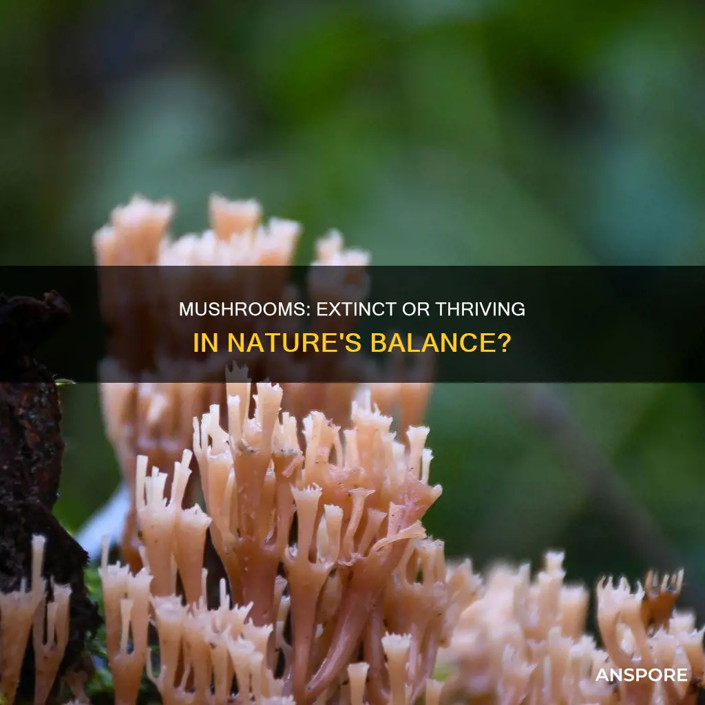 are any mushrooms extinct