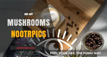 Mushrooms as Nootropics: Brain-Boosting Fungi?