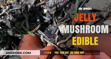 Can You Eat Apricot Jelly Mushrooms? A Tasty or Toxic Guide